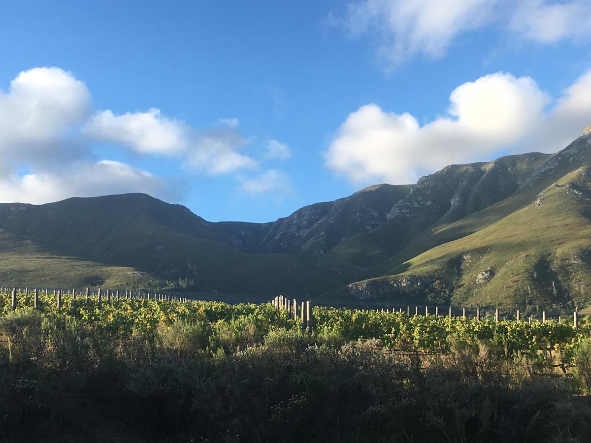 Misty Mountains Villa Hermanus Dış mekan fotoğraf